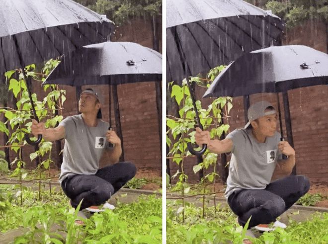 Không nhưng mặc bản thân bị ướt để che chắn cho vườn rau mà gương mặt của Tạ Đình Phong cũng tỏ ra lo lắng trước cơn mưa này