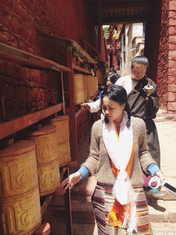 Vương Phi có nhiều chuyến đi đến Tây Tạng