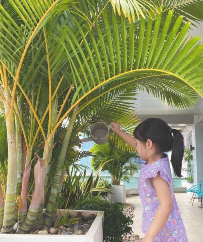 Cách đây ít lâu, Hoa hậu Đặng Thu Thảo cũng chia sẻ hình ảnh cô con gái tưới cây giúp bố mẹ