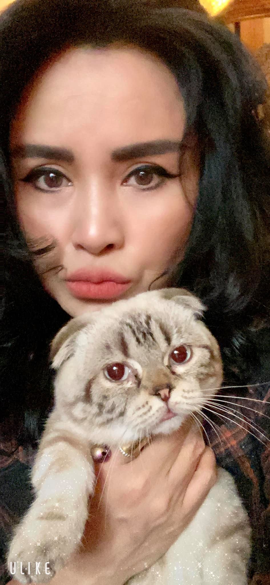 Diva Thanh Lam chụp ảnh với mèo cưng. Từ ngày công khai chuyện tình cảm với bạn trai bác sĩ, cô được khen ngợi ngày càng trẻ trung, yêu đời.