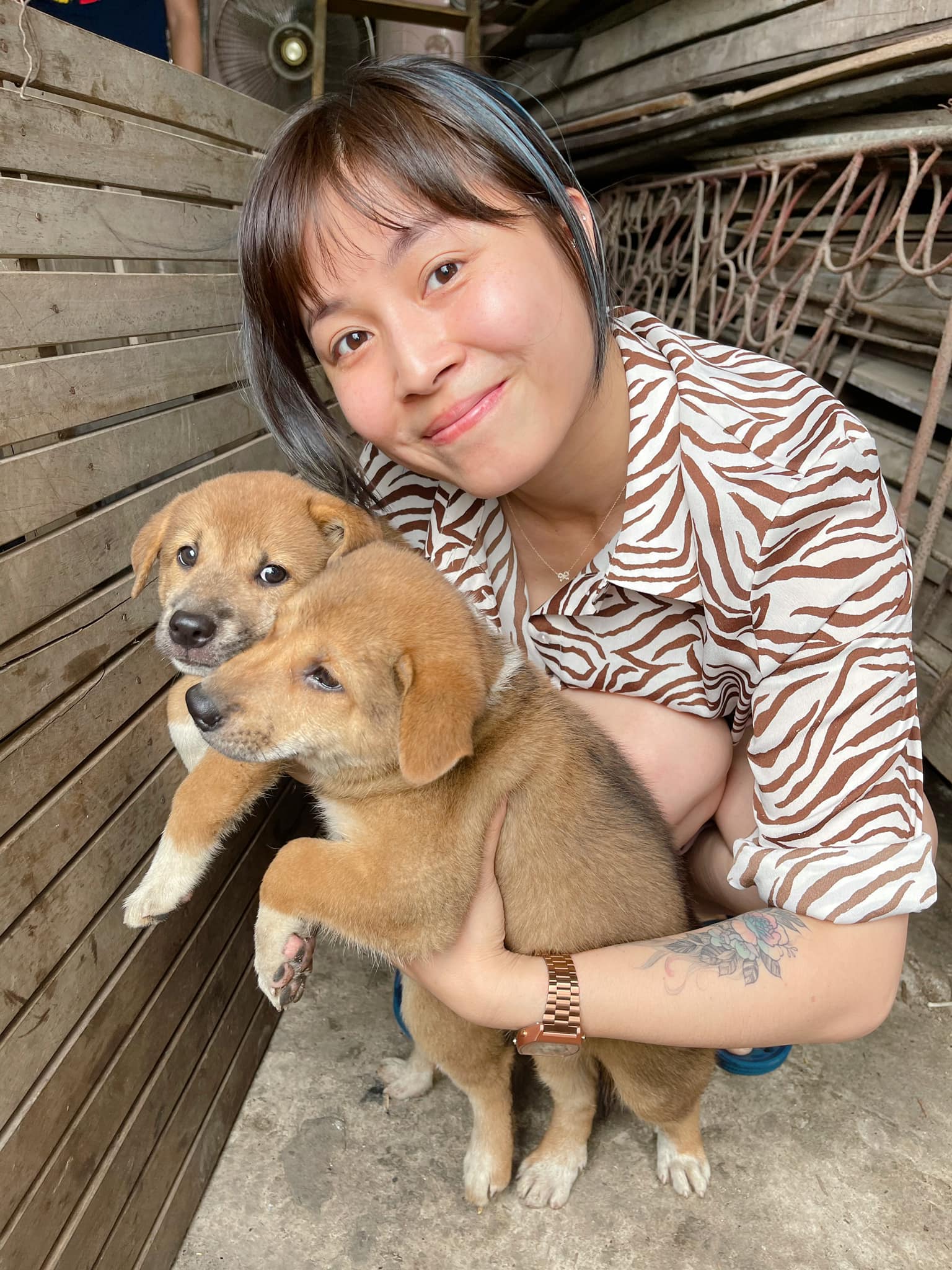 MC Hoàng Linh cho hay, chó nhà bà ngoại cô mới sinh 7 chú cún con, bạn nào muốn làm chủ của những chú cún xinh xắn có thể liên hệ với cô để nhận nuôi.