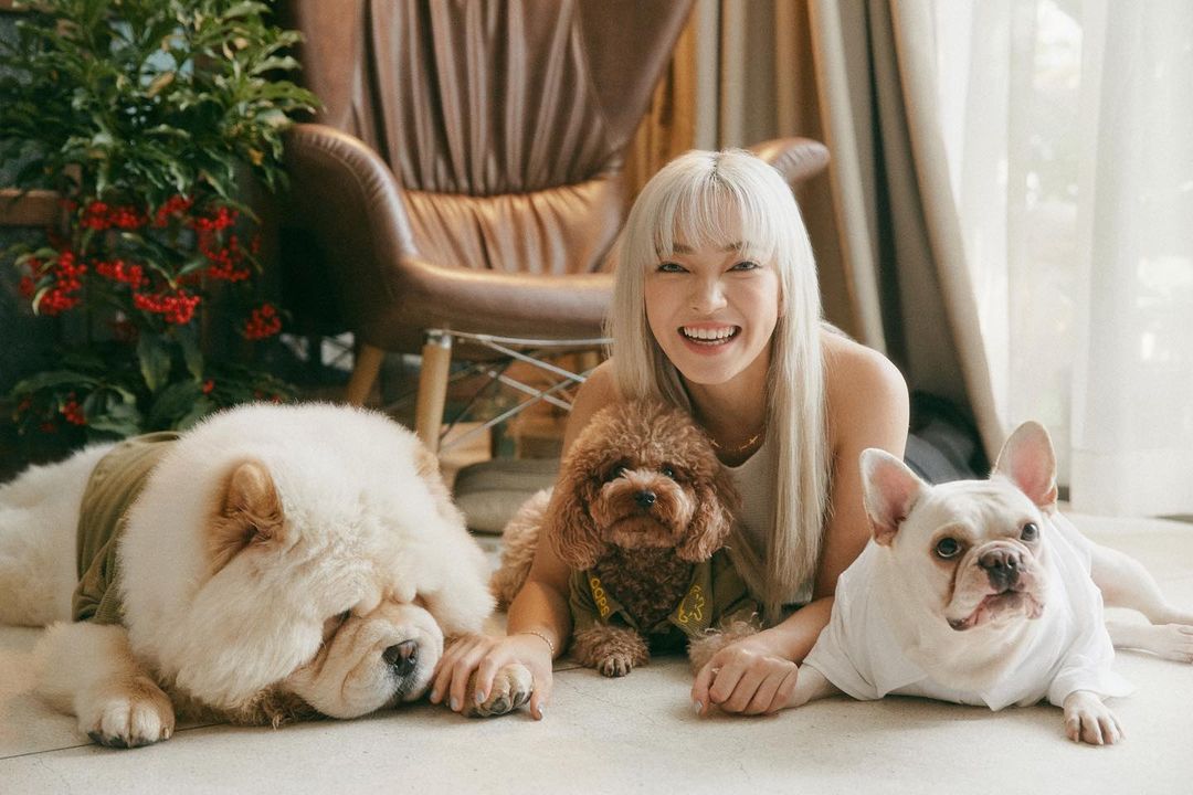Châu Bùi đăng tải vlog mới chia sẻ về cuộc sống bận rộn nhưng tràn đầy niềm vui bên ba chú cún cưng. Cô hiện là fashionista được yêu mến hàng đầu Việt Nam nhờ tính cách thân thiện và lối sống tích cực, lành mạnh.