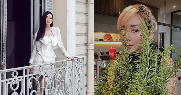 Hôm qua sao làm gì (28/7): Lương Thùy Linh bất ngờ tâm sự chuyện buồn, Tóc Tiên chụp ảnh "cây nhà lá vườn"