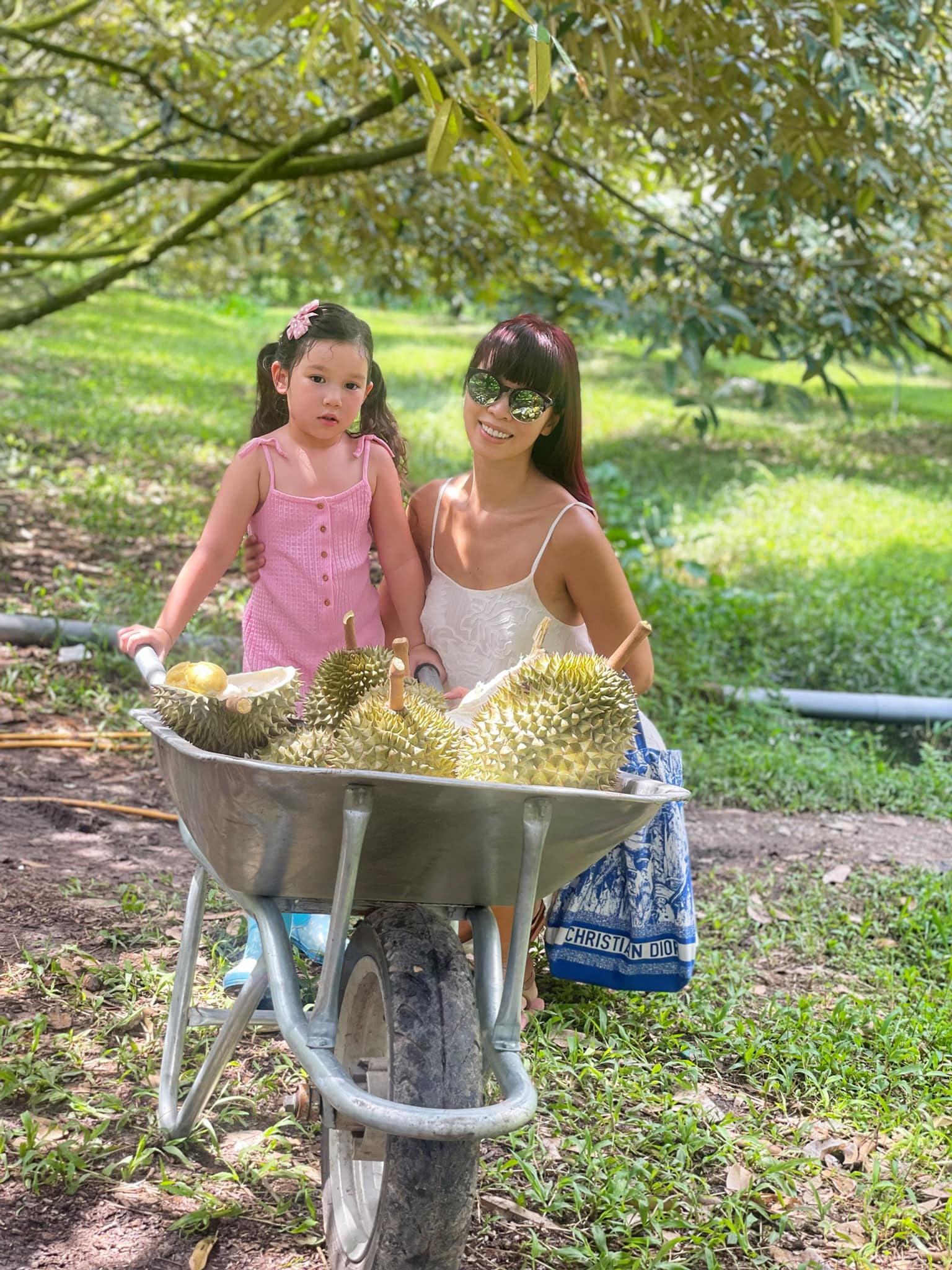 Hôm qua sao làm gì (31/5) - Ảnh 1