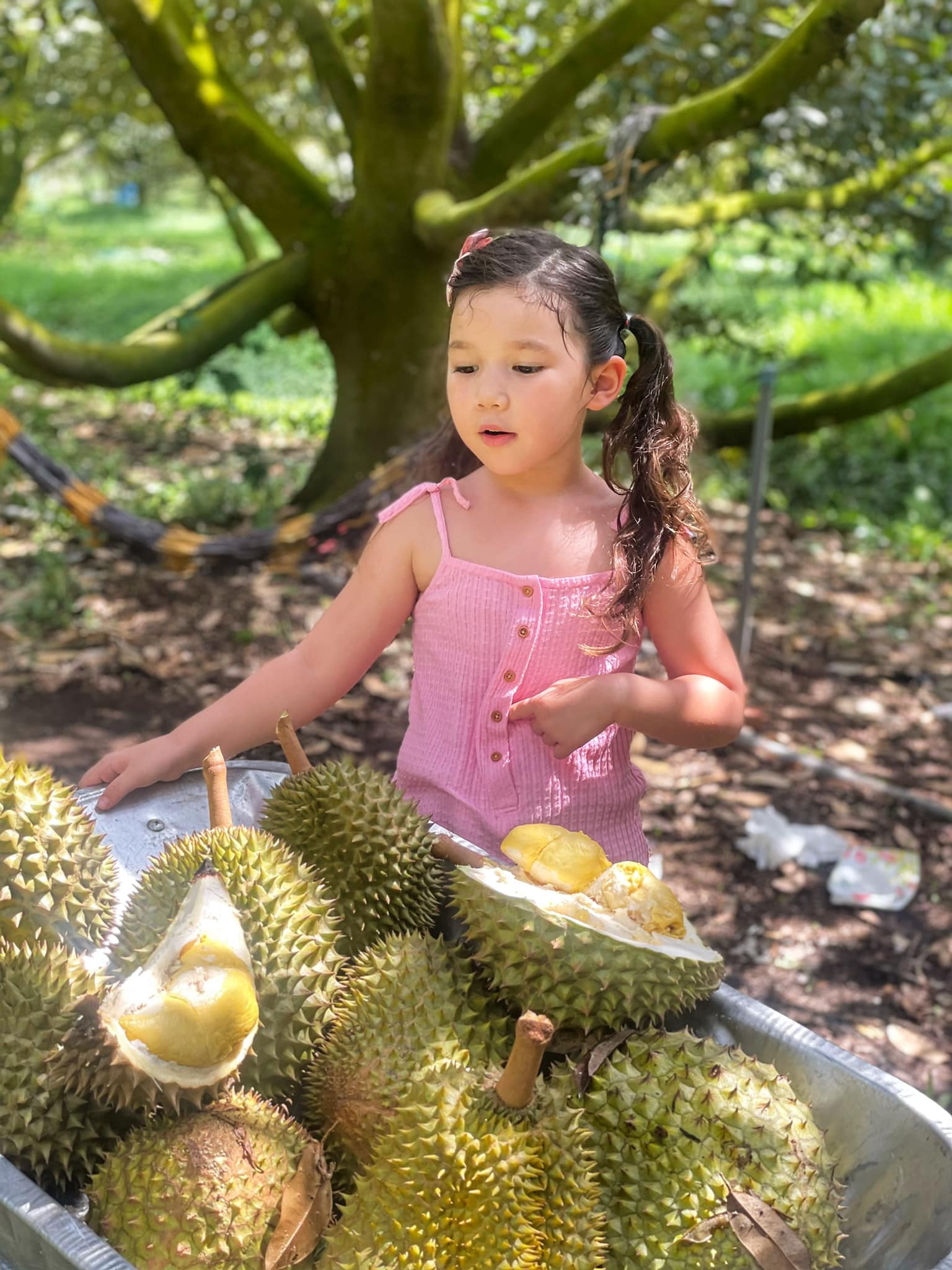 Hôm qua sao làm gì (31/5) - Ảnh 5