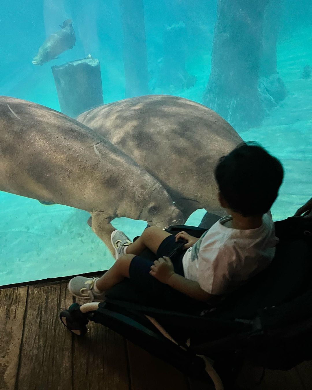 Hôm qua sao làm gì (4/6): Jun Vũ tung bộ ảnh nội y mừng tuổi mới - Ảnh 1