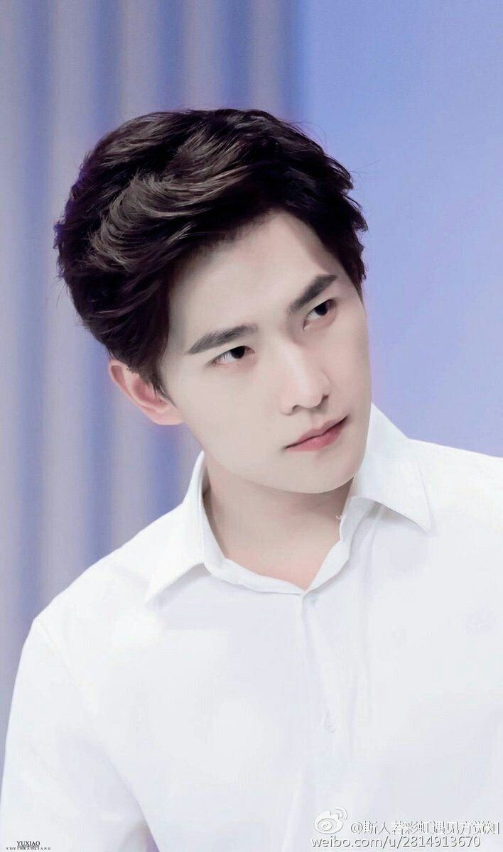 Dương Dương là ai? - Ảnh 3