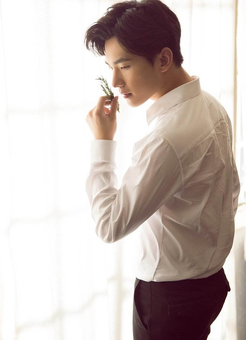 Dương Dương là ai? - Ảnh 8