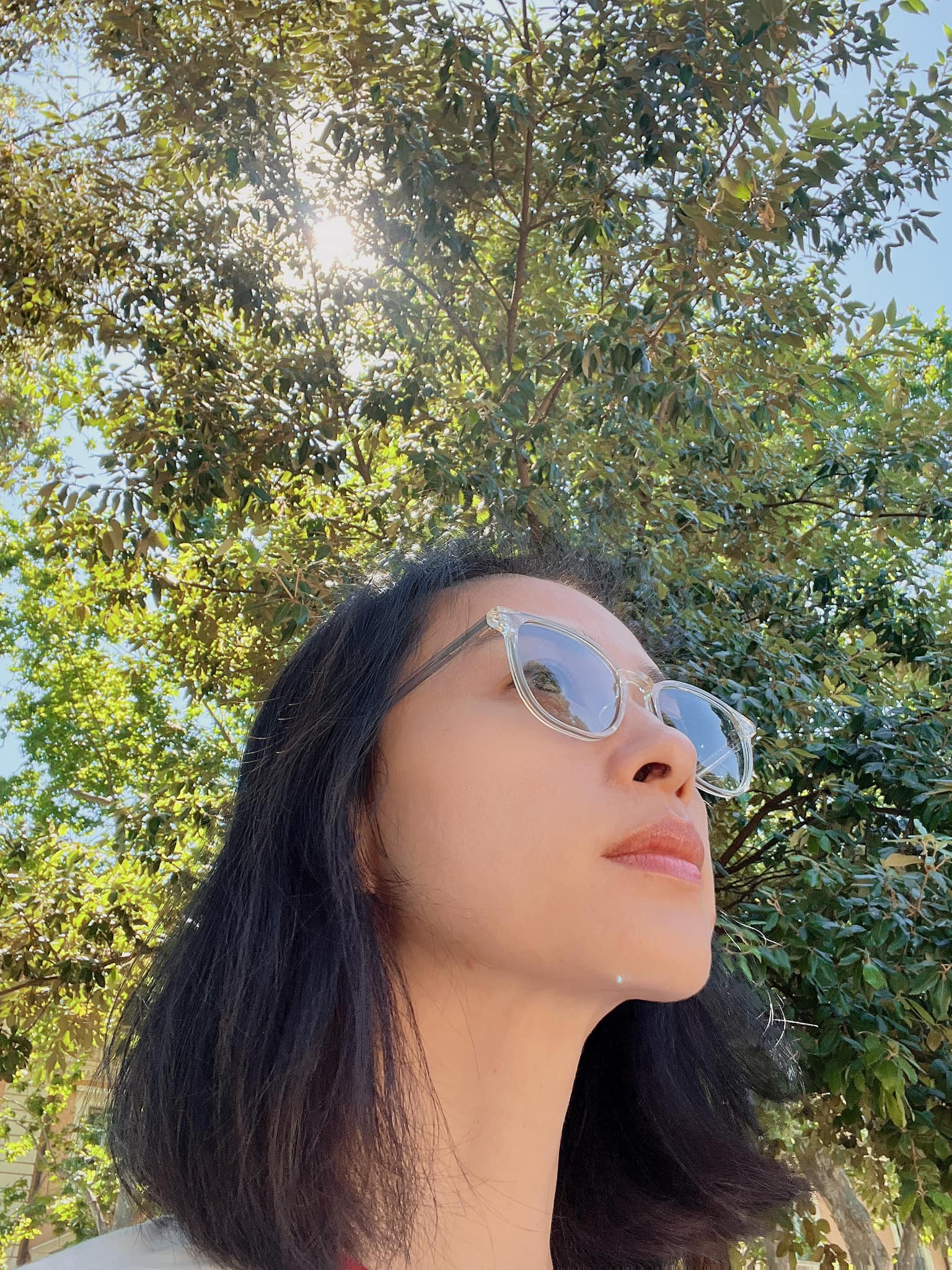 Ngô Thanh Vân tìm lại sở thích cũ sau 20 năm chỉ lao vào công việc, chồng khen: 