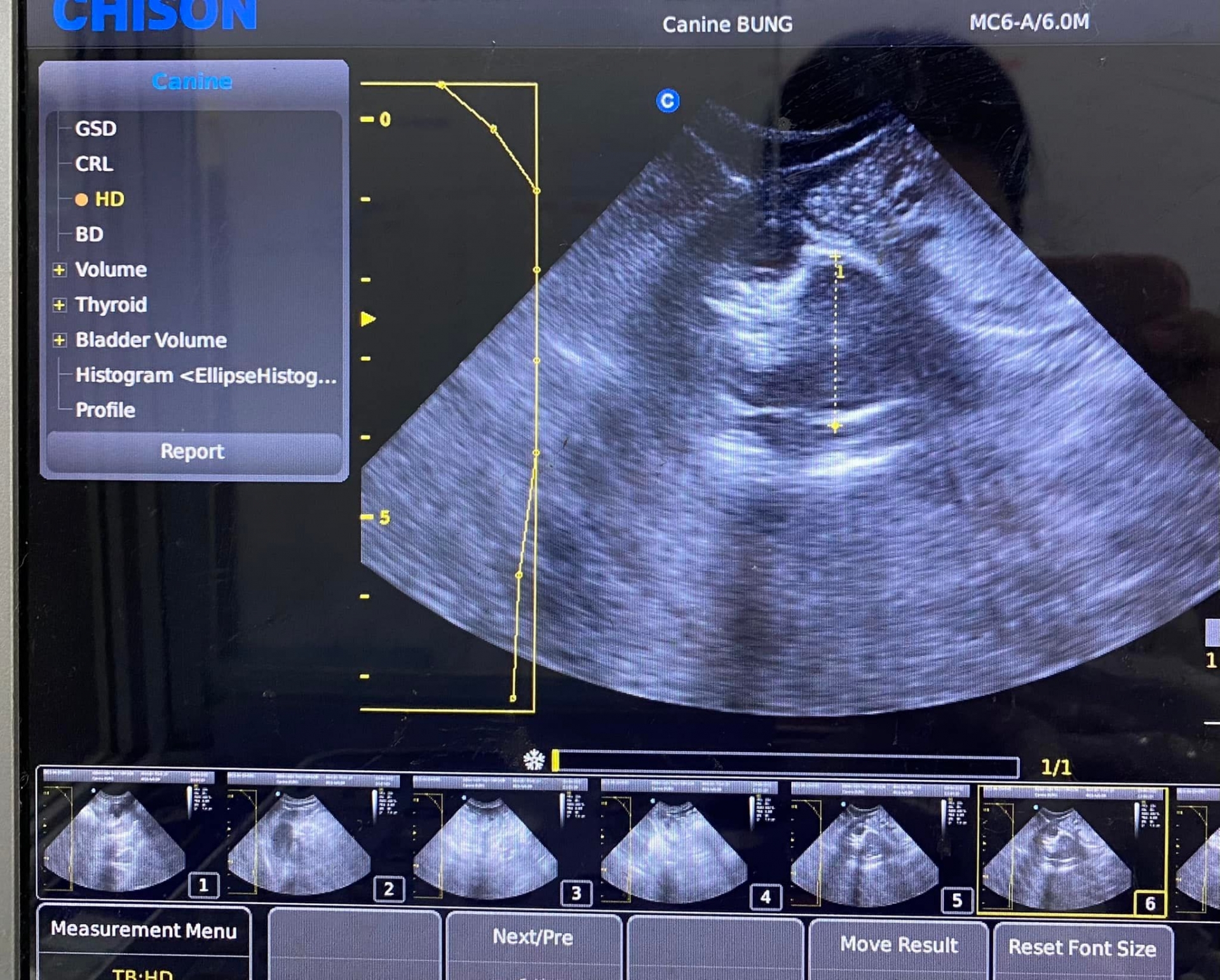 Elly Trần phủ nhận mang bầu lần 3 - Ảnh 4