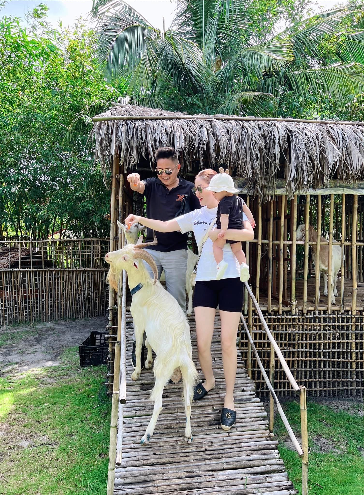 Tin Giải Trí 1/7:  - Ảnh 1