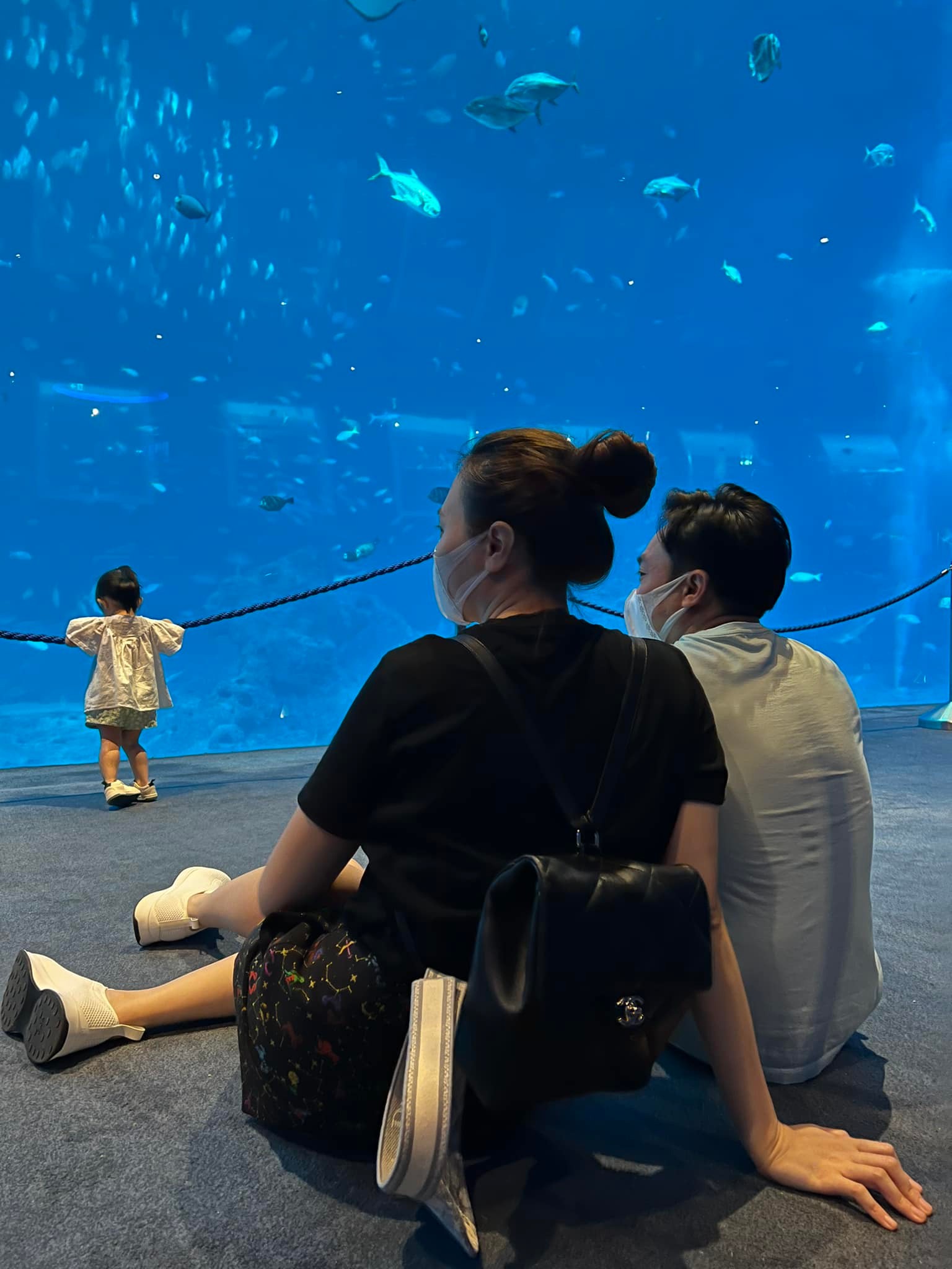 Tin Giải Trí 1/7:  - Ảnh 15