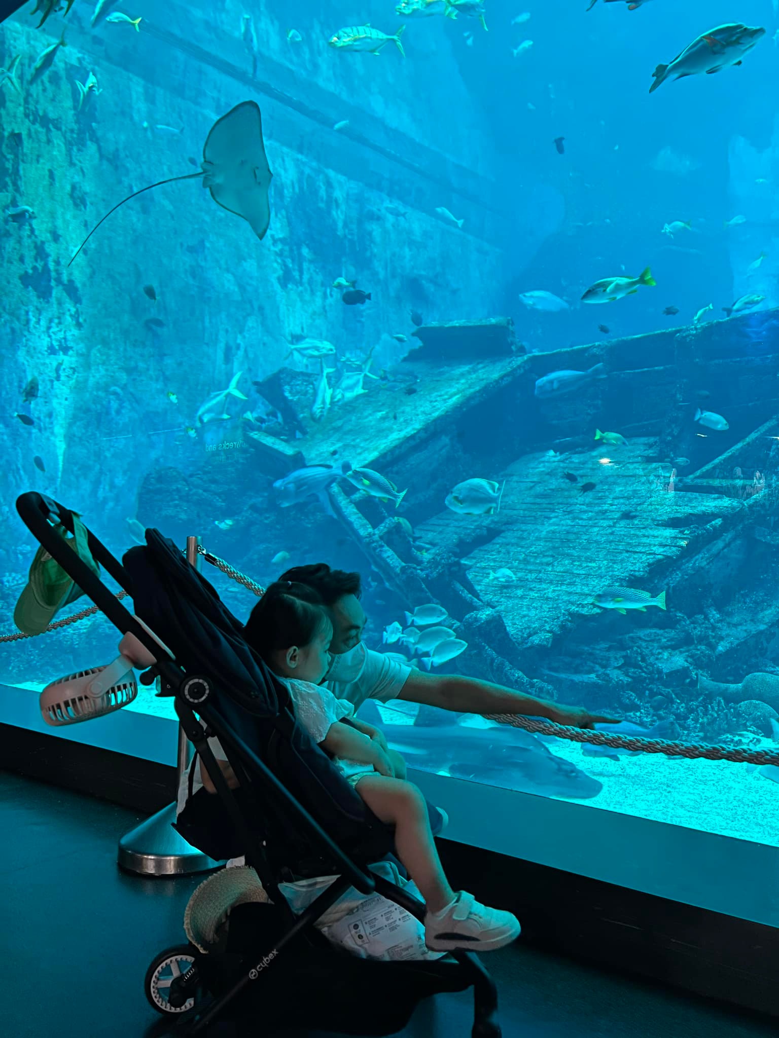 Tin Giải Trí 1/7:  - Ảnh 16