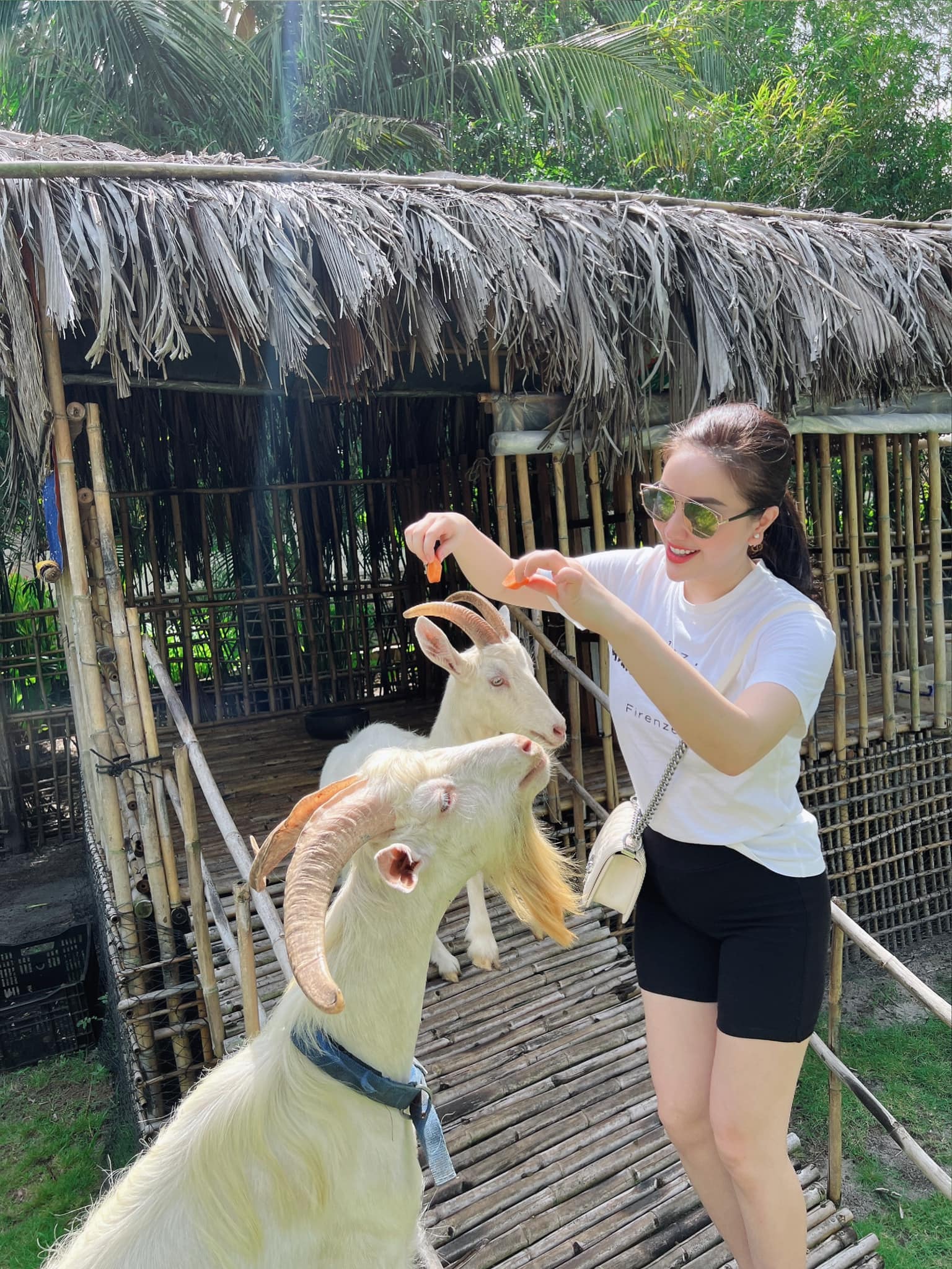 Tin Giải Trí 1/7:  - Ảnh 2