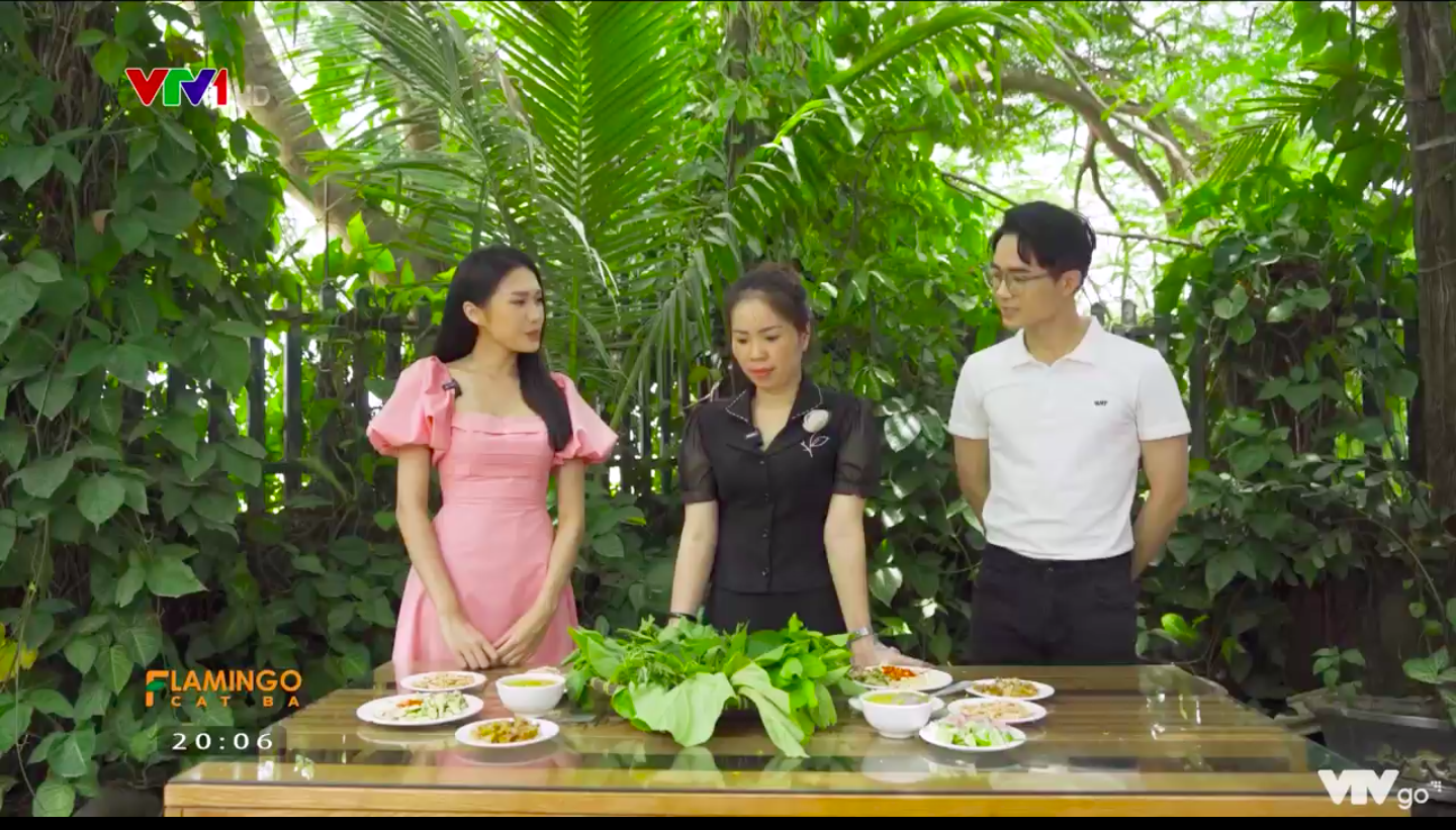 Doãn Hải My bất ngờ làm MC trên VTV1 - Ảnh 6