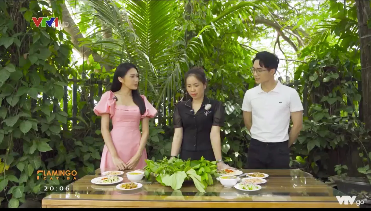 Doãn Hải My bất ngờ làm MC trên VTV1 - Ảnh 6