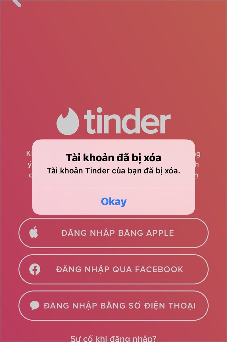 Tinder là gì? Cách sử dụng Tinder hẹn hò - Ảnh 2