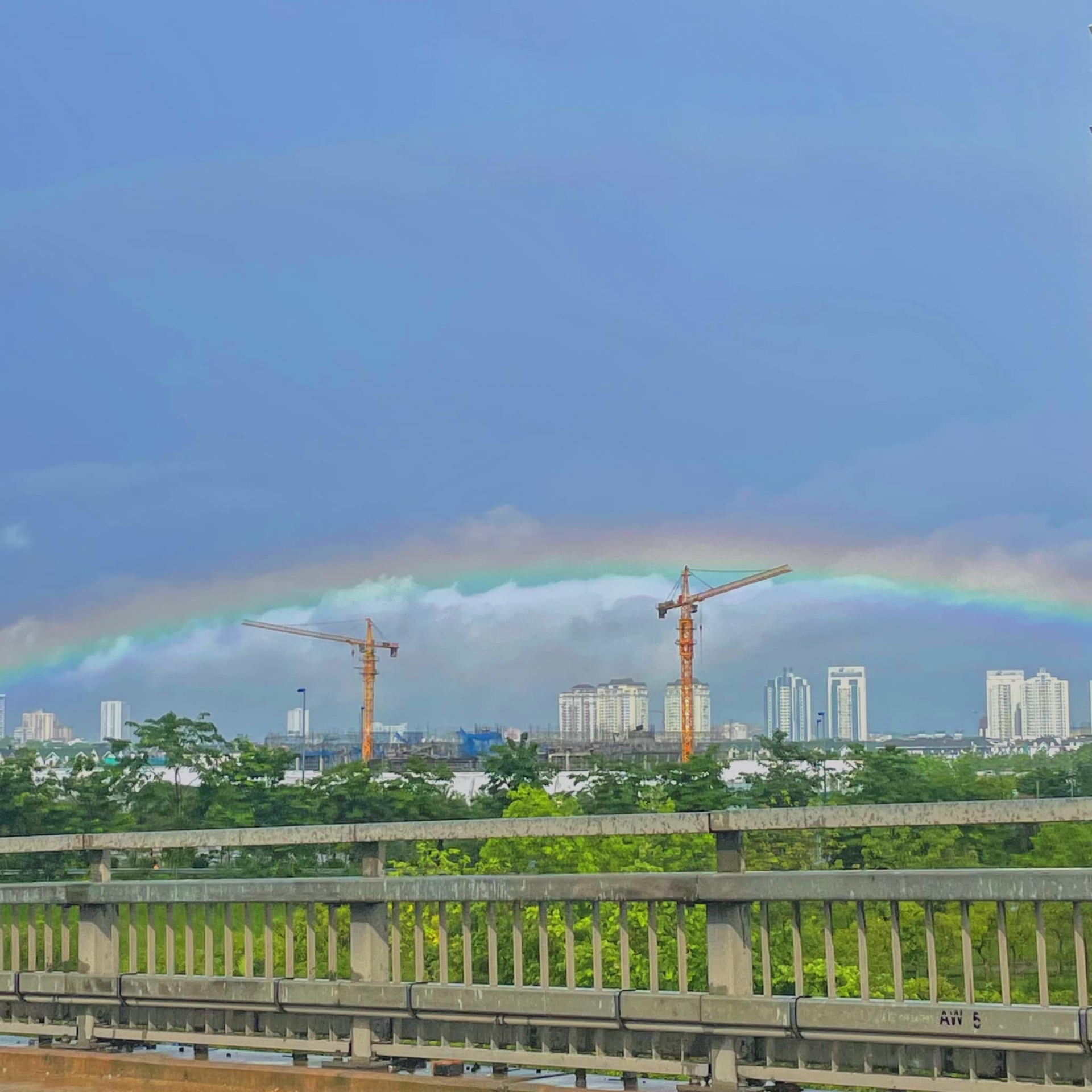 cầu vồng - Ảnh 1