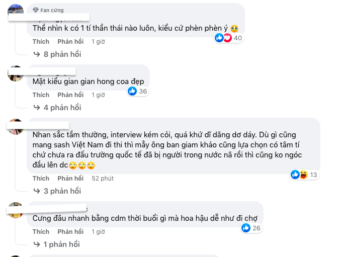 Hoa hậu Nông Thúy Hằng bị 