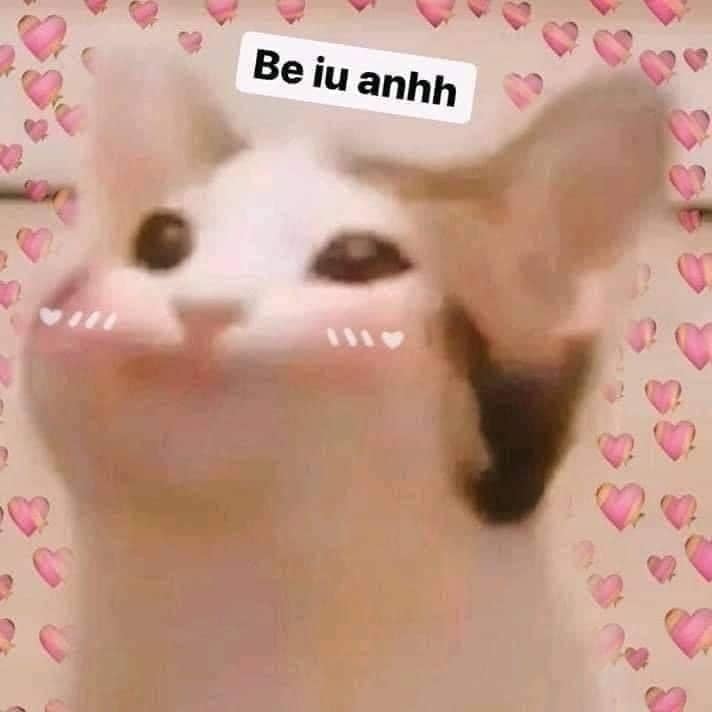 99+ ảnh meme mèo, ảnh chế mèo hài, dễ thương cho điện thoại, máy tính - Ảnh 5