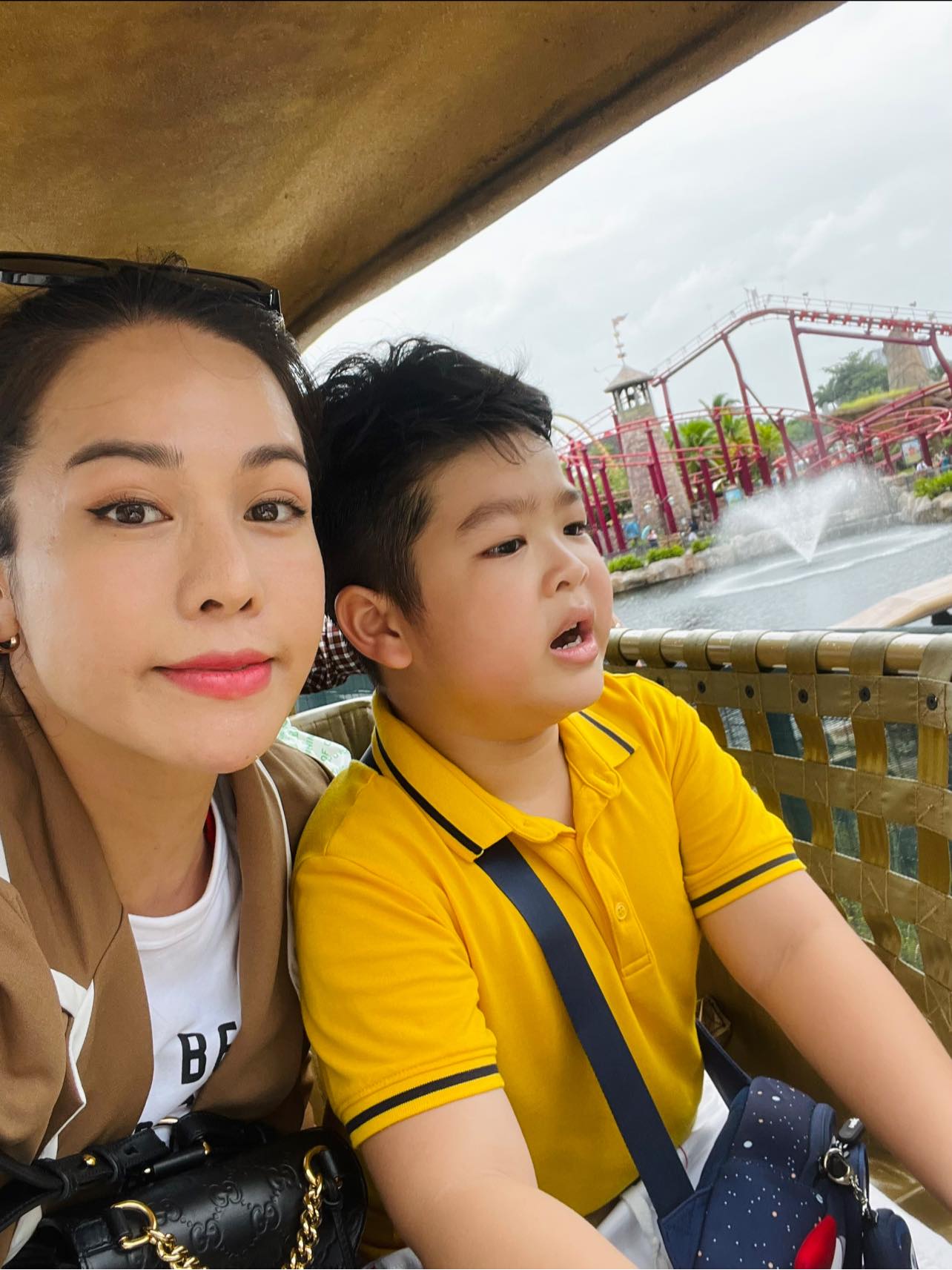 Giữa tin đồn tái hợp chồng cũ, Nhật Kim Anh đăng đàn tuyên bố độc thân  - Ảnh 1