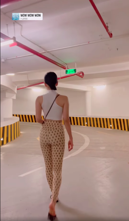 Lệ Quyên diện đồ mỏng như tờ giấy, netizen trầm trồ: 