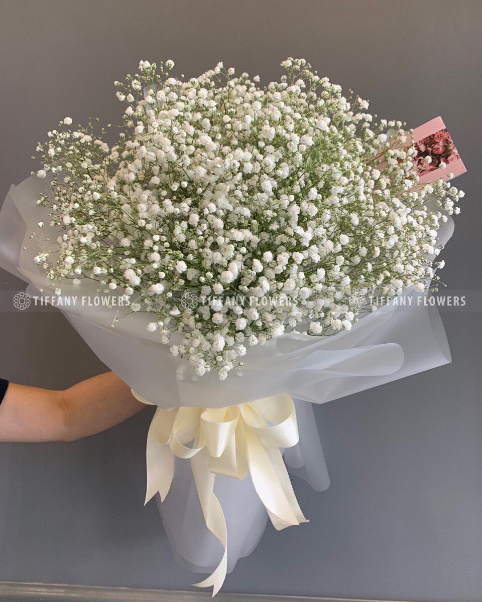 Tặng hoa baby sẽ mang ý nghĩa cũng như tên gọi của nó, dành tặng cho những cô bé trong trắng, thuần khiết, trẻ trung, đáng yêu.