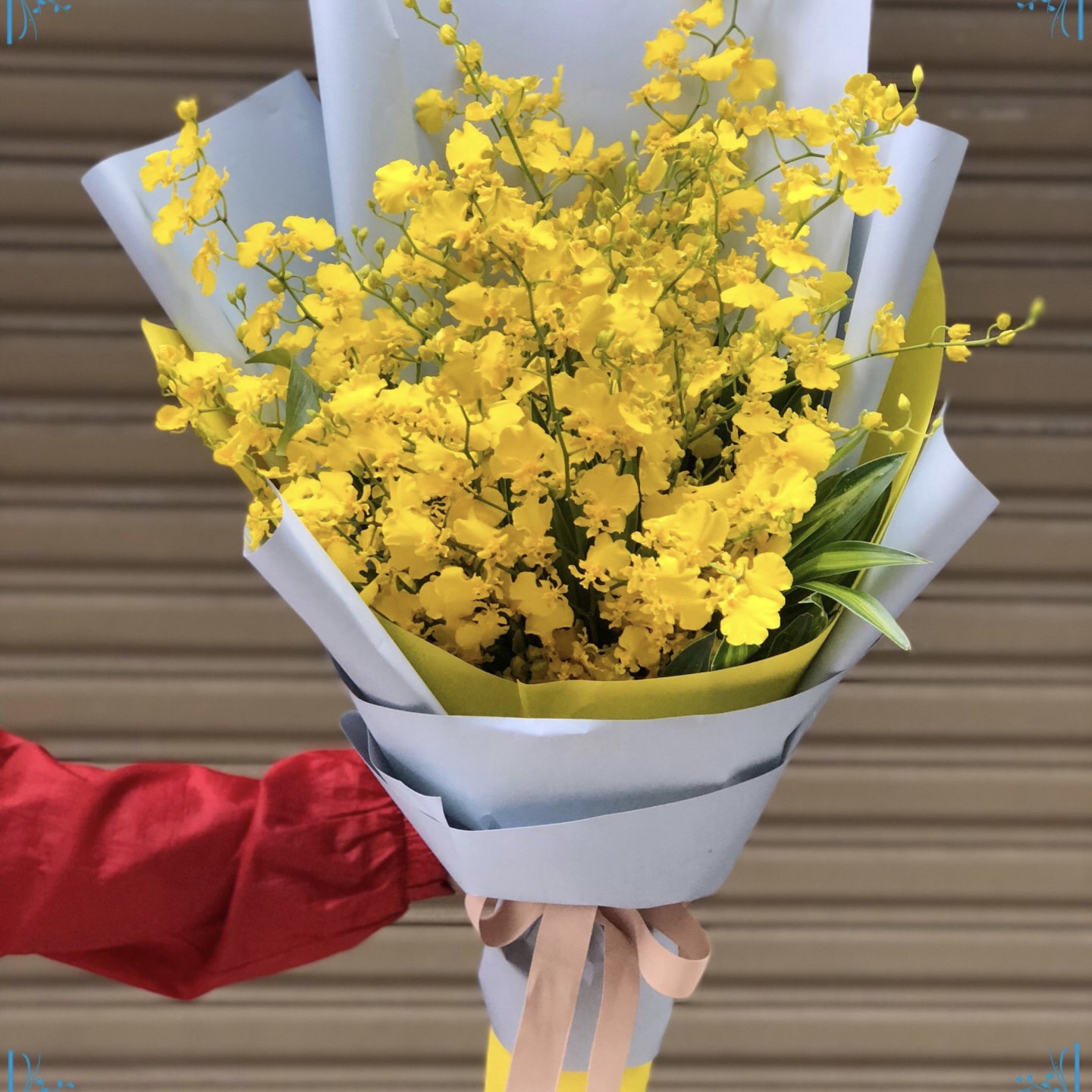 Một giỏ hoa lan lớn phù hợp làm món quà của tập thể lớp gửi đến thầy cô trong ngày 20/11.