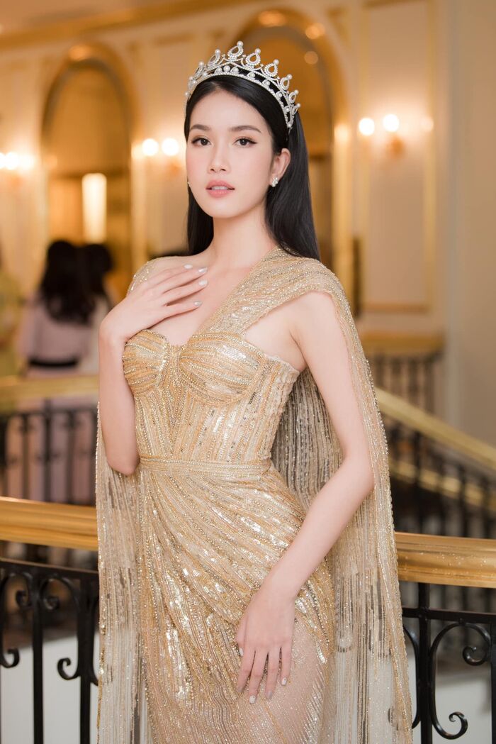 Á hậu Phương Anh đã không thể sang Nhật Bản tham dự Miss International vào cuối năm nay như dự kiến