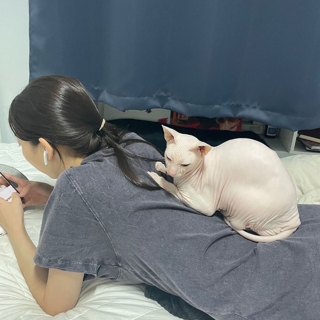 Sau thời gian nhận nuôi Goblin, Kim Seon Ah đã lập tài khoản Instagram riêng cho chú mèo của người bạn quá cố
