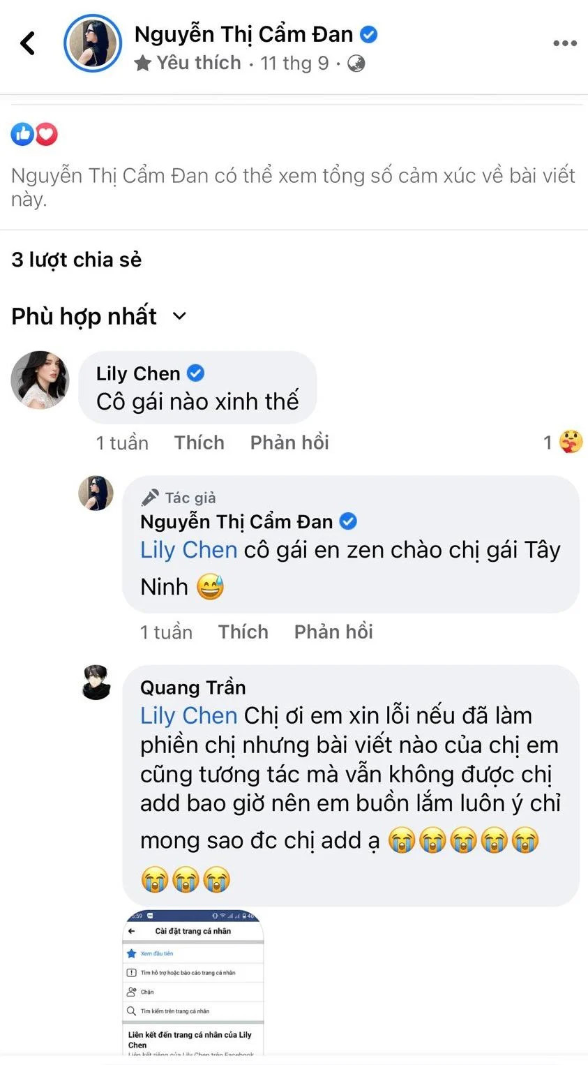 Lily Chen là ai: 'Ngọc nữ bolero' nhưng vướng không ít thị phi  - Ảnh 11