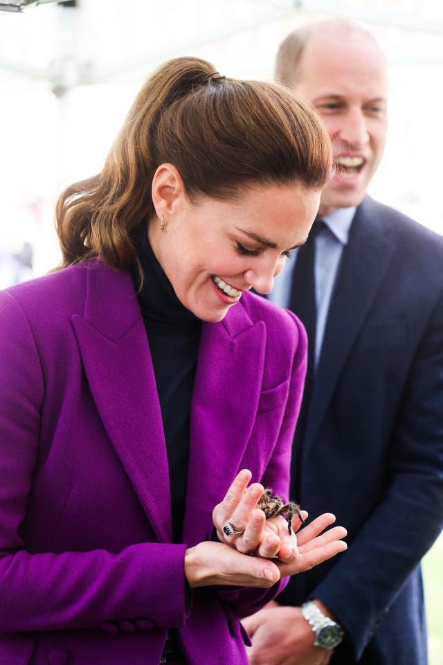 Kate Middleton vui vẻ chơi đùa với chú nhện có tên Charlotte trong ánh mắt kinh ngạc của Hoàng tử William