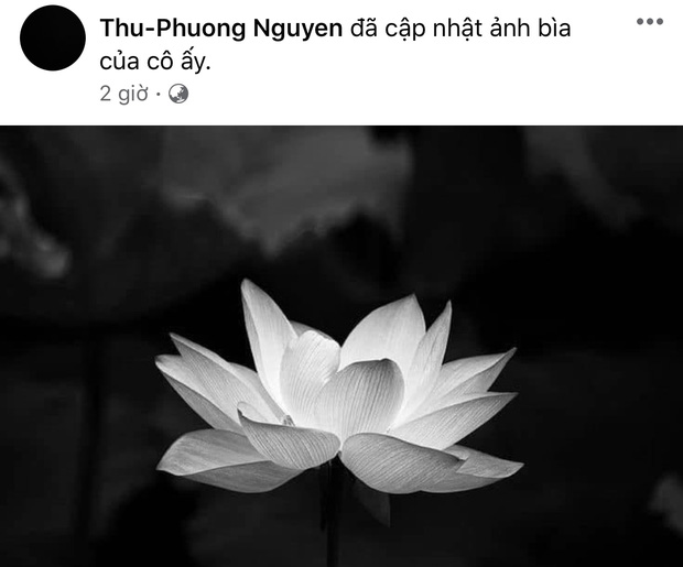 Mặc dù chưa đưa ra thông báo chính thức nhưng ca sĩ Thu Phương đã thay đổi cả ảnh đại diện và ảnh bìa thể hiện sự buồn bã, tang thương trước tin buồn này của gia đình