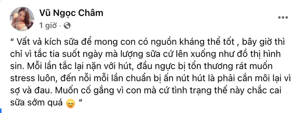 Bài viết bày tỏ nỗi lòng được Vũ Ngọc Châm đăng tải cách đây ít giờ thu hút sự chú ý của cư dân mạng