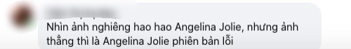 Cư dân mạng không ngần ngại gọi đại diện của Việt Nam là 'Angelina Jolie phiên bản lỗi'