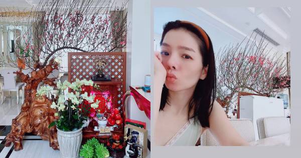 Toàn cảnh Lệ Quyên năm đầu đón Tết trong căn biệt thự triệu đô với tình trẻ kém 12 tuổi