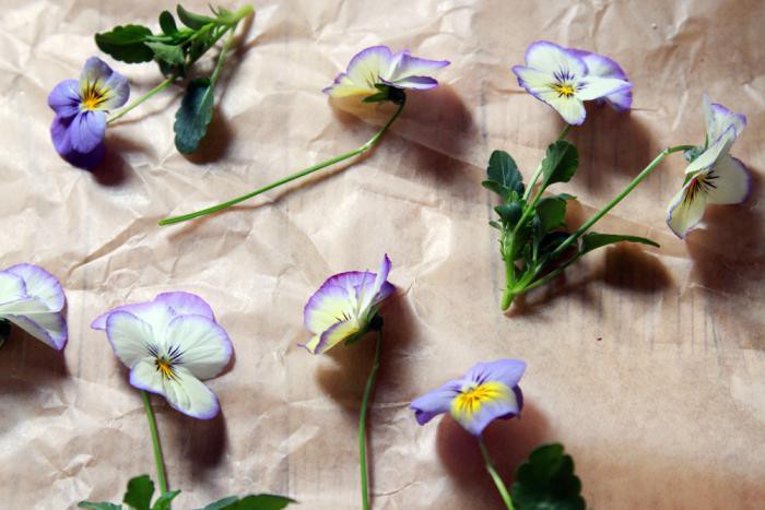 Dùng giấy sáp hoặc một cuốn sách cũ để đặt những bông hoa vào trang sách và gập chúng lại sau khi đã tạo được kiểu dáng hoa.