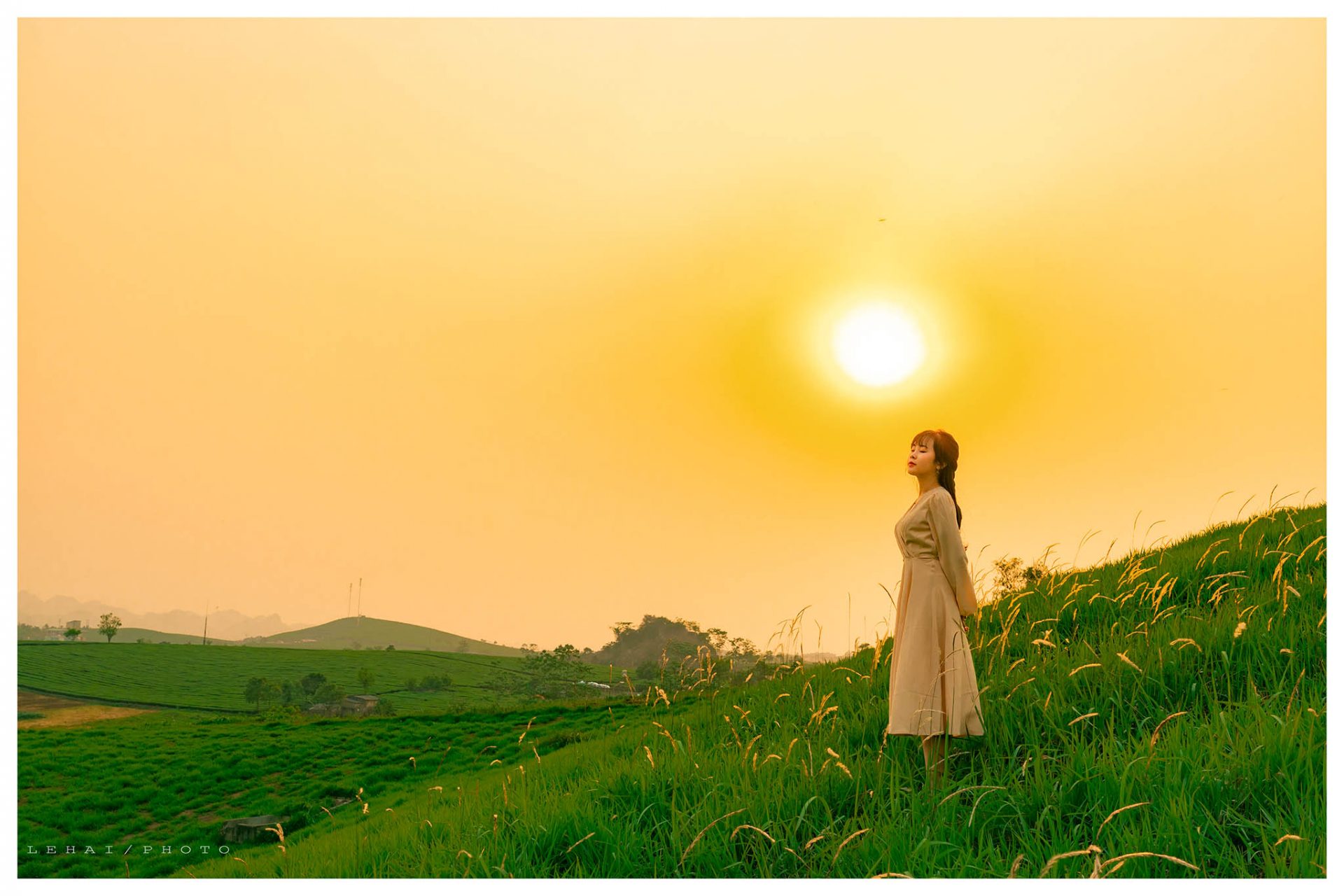 Đồng cỏ Windows xuất hiện tại Việt Nam - Ảnh 1