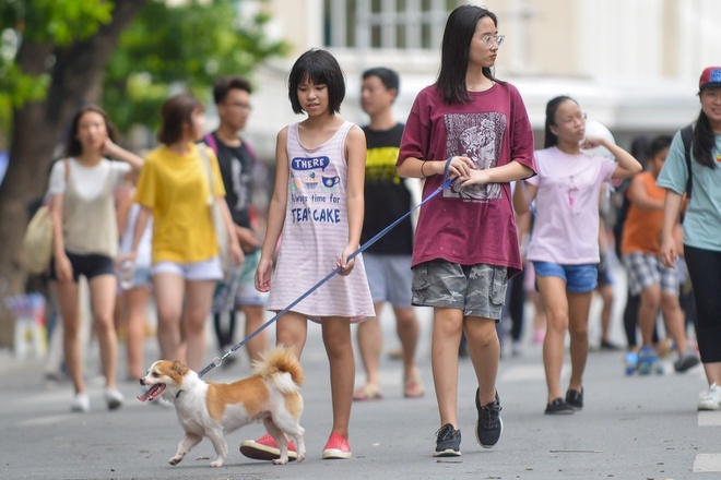 Hà Nội đề xuất mặc trang phục lịch sự và không dắt chó mèo đến phố đi bộ