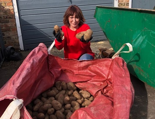 Trong thời gian phong tỏa vì đại dịch, Susan đã phân phát hàng nghìn củ khoai tây miễn phí từ trang trại của mình cho người dân ở Yorkshire. Ảnh: PA.