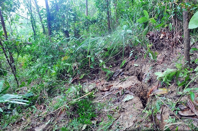 Hà Tĩnh: Xuất hiện các vết nứt trên núi, di dời khẩn cấp gần 3.000 hộ dân.