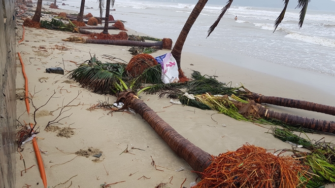 Bãi biển Đà Nẵng tan hoang, cây ngã đổ ngổn ngang, sóng biển đánh rác, cát lên ngập trên đường sau bão - Ảnh: CAND