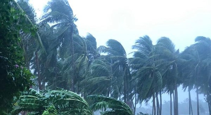 Đầu giờ chiều nay (15/11), bão số 13 đã đi vào khu vực Quảng Bình, Nam Hà Tĩnh.