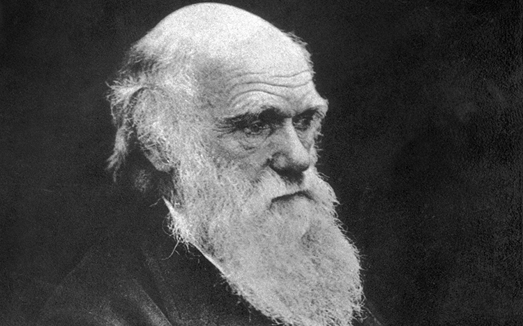 Chân dung nhà bác học Charles Darwin (1809 - 1882). Ảnh: Spencer Arnold/Telegraph.