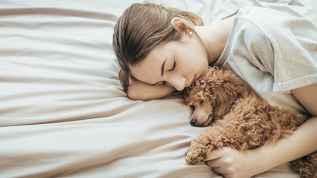 Những con chó giúp phụ nữ ngủ ngon hơn bạn đời hay mèo. Ảnh: Metro.