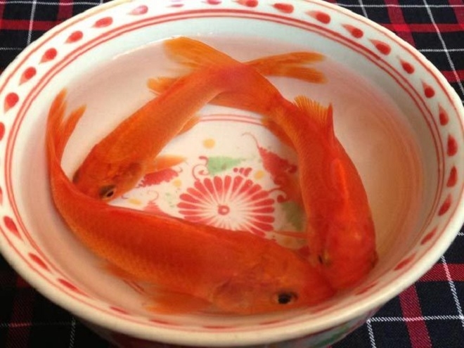 Cúng ông Công ông Táo cần mấy con cá chép mới đúng?