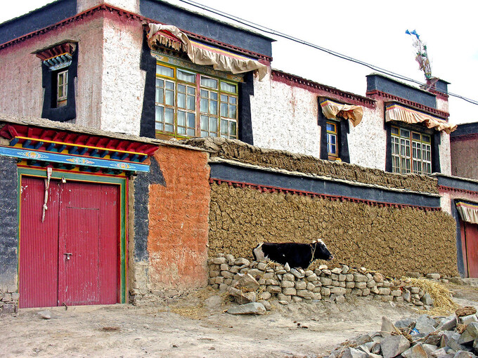 Những căn nhà chất đầy phân bò khô tại Tây Tạng. Ảnh: Dennis Jarvis/Flickr