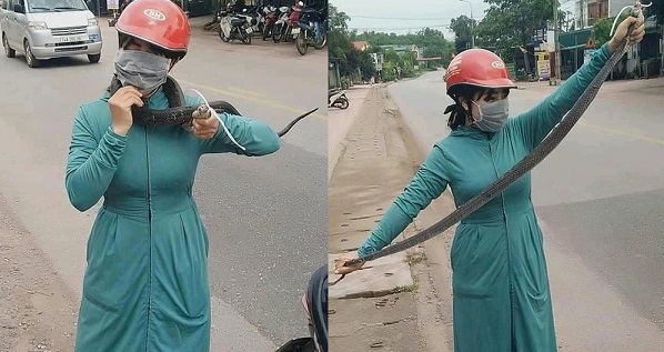 Hình ảnh cô gái nhỏ nhắn, tay không bắt "bé Na" to đùng khiến cư dân mạng phát hoảng