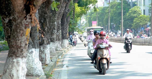 Thời tiết 23/3: Hà Nội ngày nắng nóng, đêm có mưa rào