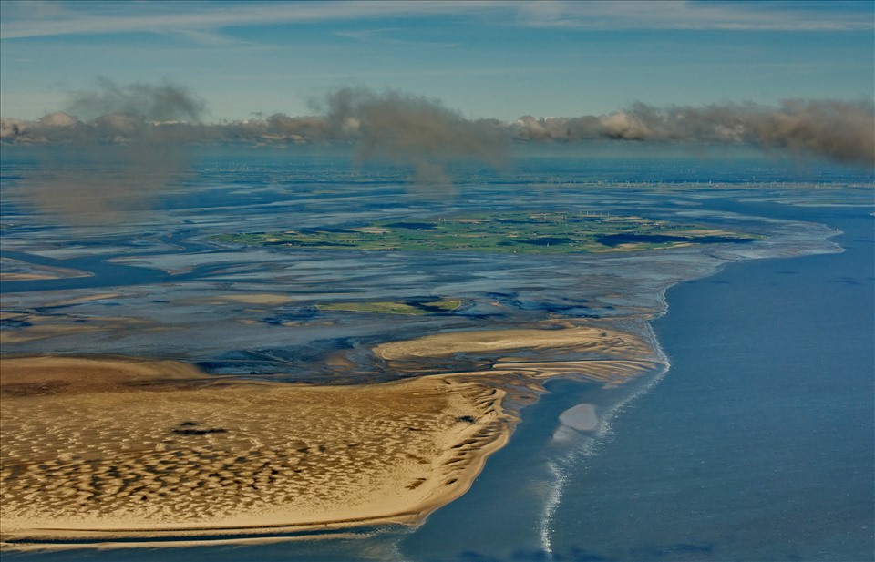 Biển Wadden là khu vực quan trọng của nhiều loài chim. Ảnh: UNESCO